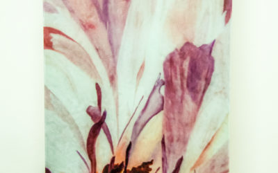 “oltre i FIORI” di Patrizia Zuccherini